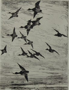 Image description is not available for DU1946.256